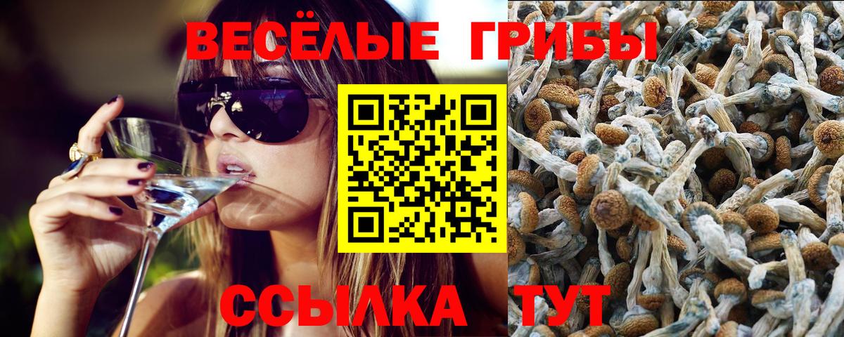 Дятьково  Псилоцибиновые грибы MAGIC MUSHROOMS  Галлюциногенные грибы мухоморы  Вход с VPN 
