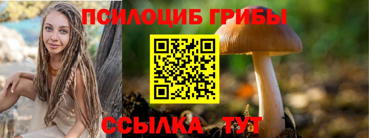 Галлюциногенные грибы прущие грибы Дятьково